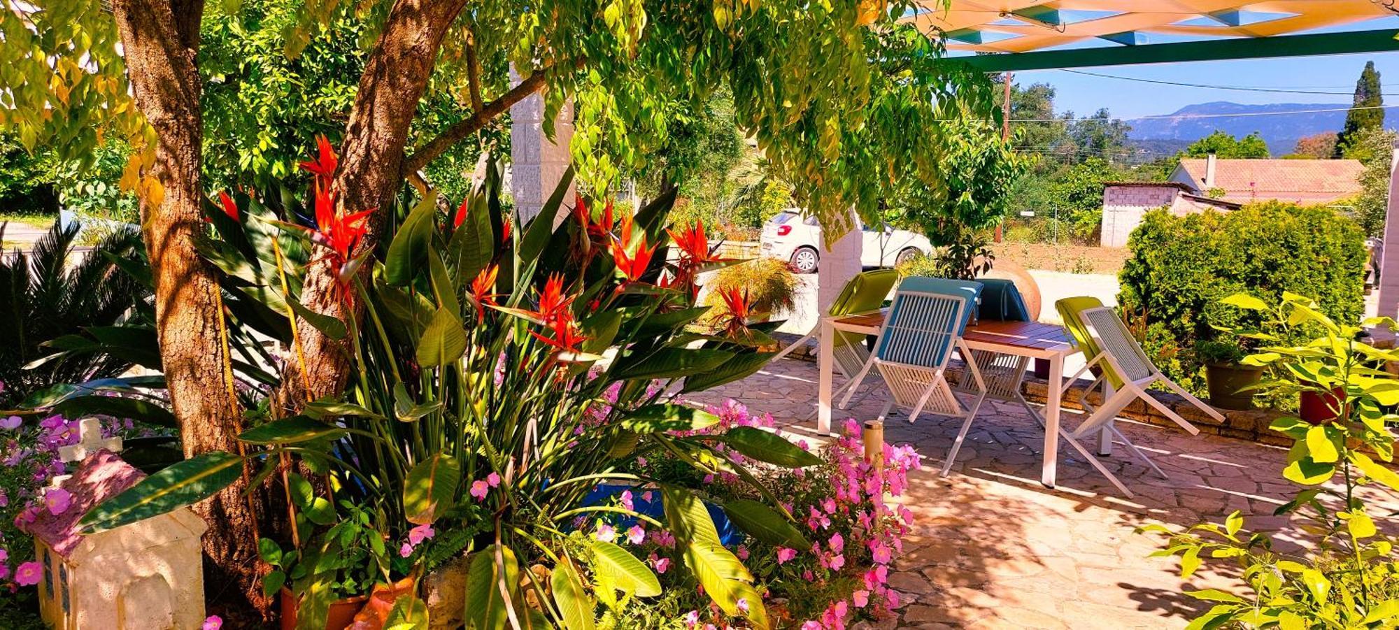 Iris Apartment Near Corfu Town Κοντόκαλι Εξωτερικό φωτογραφία